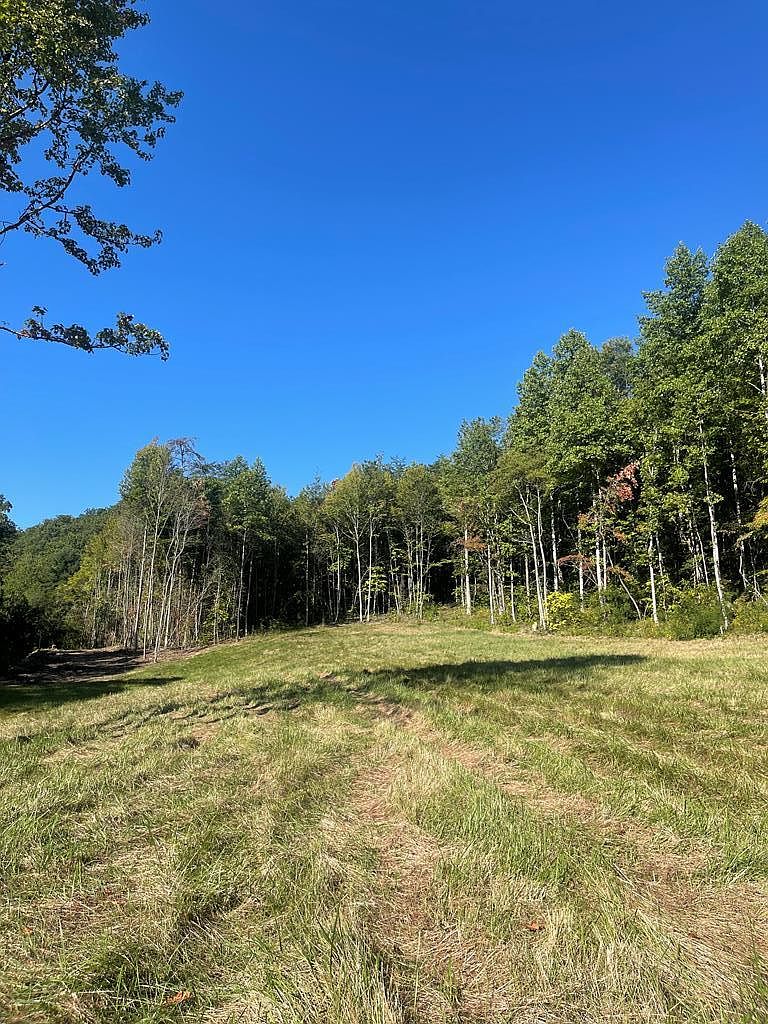 1100 Yellow Springs Rd, Cosby, TN 37722 MLS 263560 Zillow