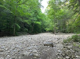 43 E Bobcat Ln, Wilder, TN 38589