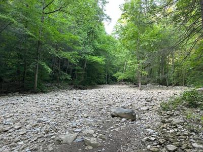 43 E Bobcat Ln, Wilder, TN, 38589