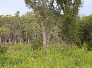 21558 NW Lake McKenzie Blvd, Altha, FL 32421