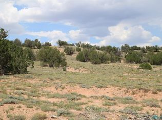 Largo Creek Trl, Quemado, NM 87829