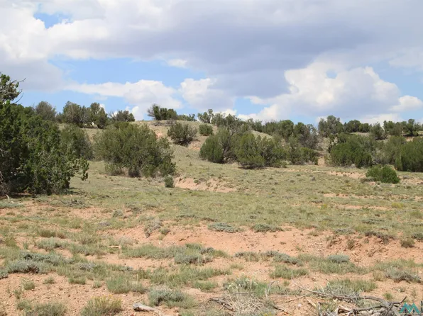 Largo Creek Trl, Quemado, NM 87829
