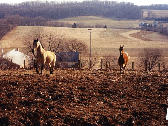 Beautiful 7.8 acres farm overlooking hills of Pennsylvania