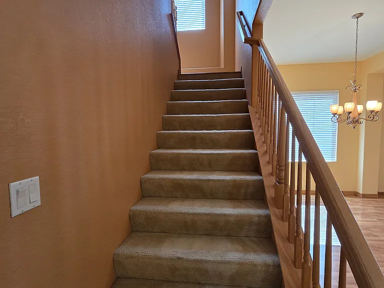 4206 Virginia Pine Ct — Photo 17