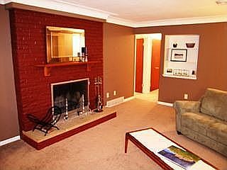 Woodburning Fireplace