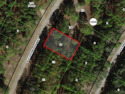 10905 N Letterwood Way, Dunnellon, FL, 34434