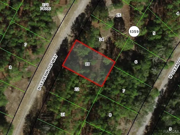 10905 N Letterwood Way, Dunnellon, FL 34434