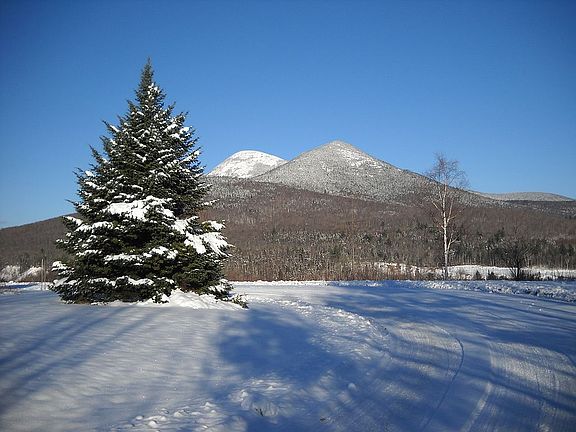 Actual view from property