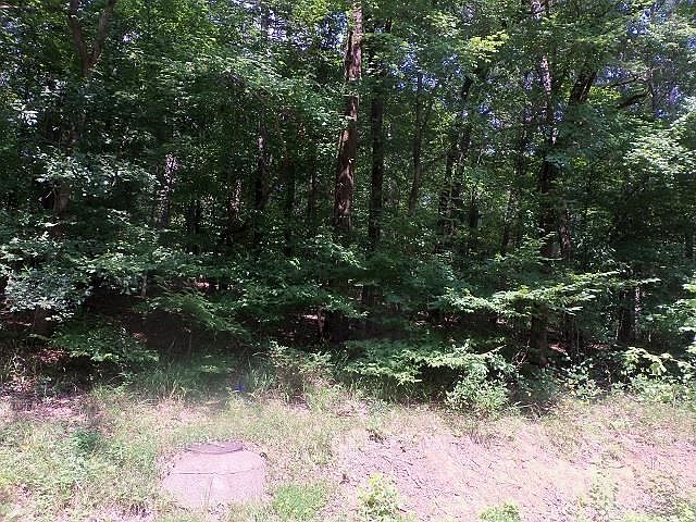 2nd image of LOT 9 Willow Springs Rd