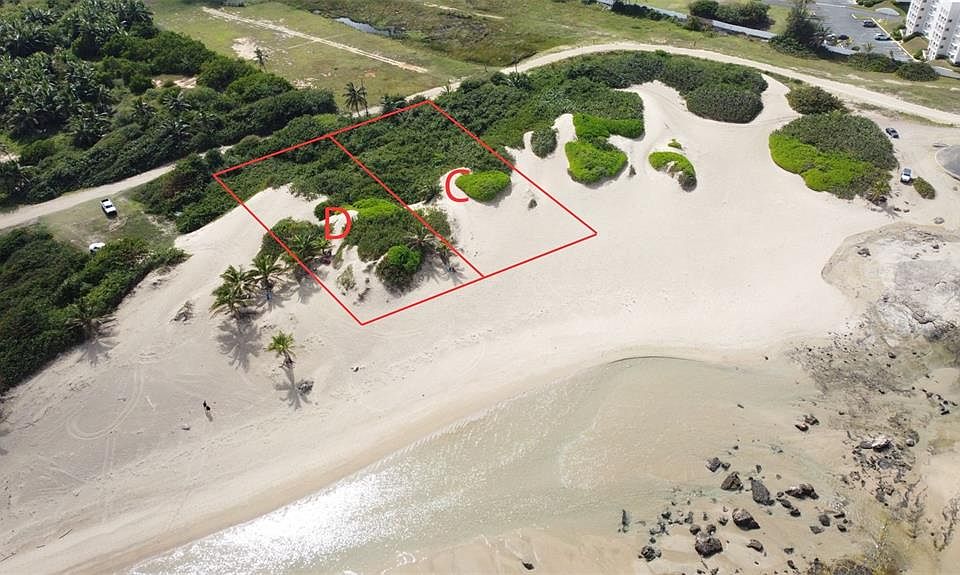 1st image of Guayabo #C