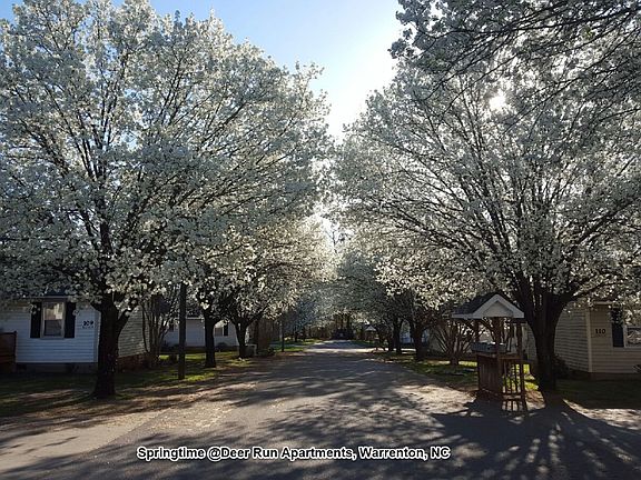 4th image of 103-121 Deer Run Dr #115-103