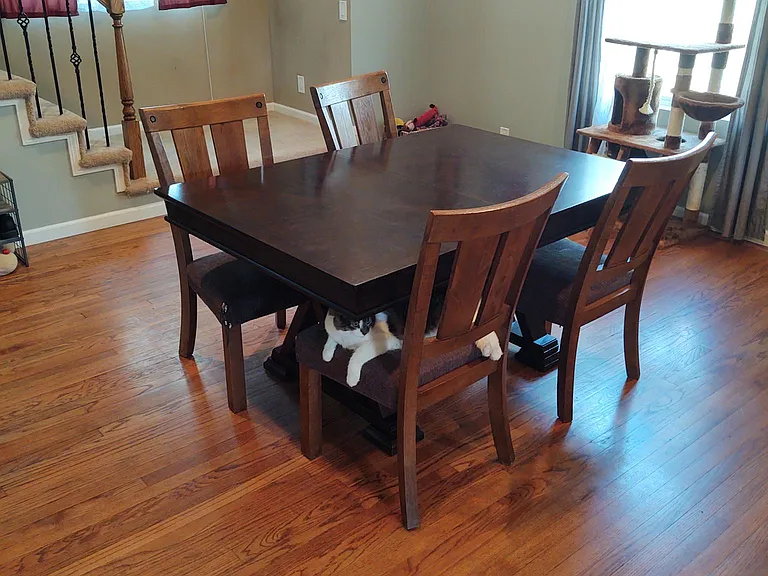 Large Dining Room with hardwood floors, can lights and antique light fixture.