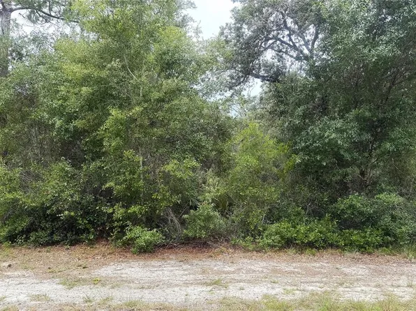 359 Coolidge Ave NE Lot 1, Lake Placid, FL 33852