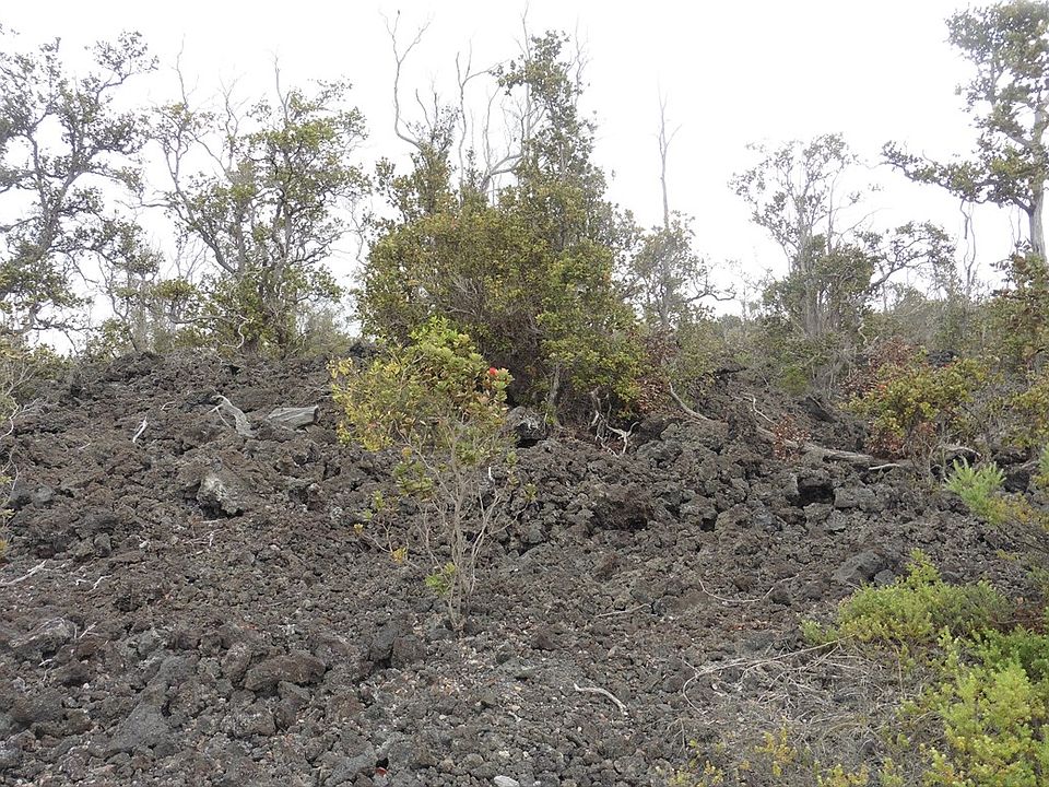 1st image of Ohia Dr Lot 35