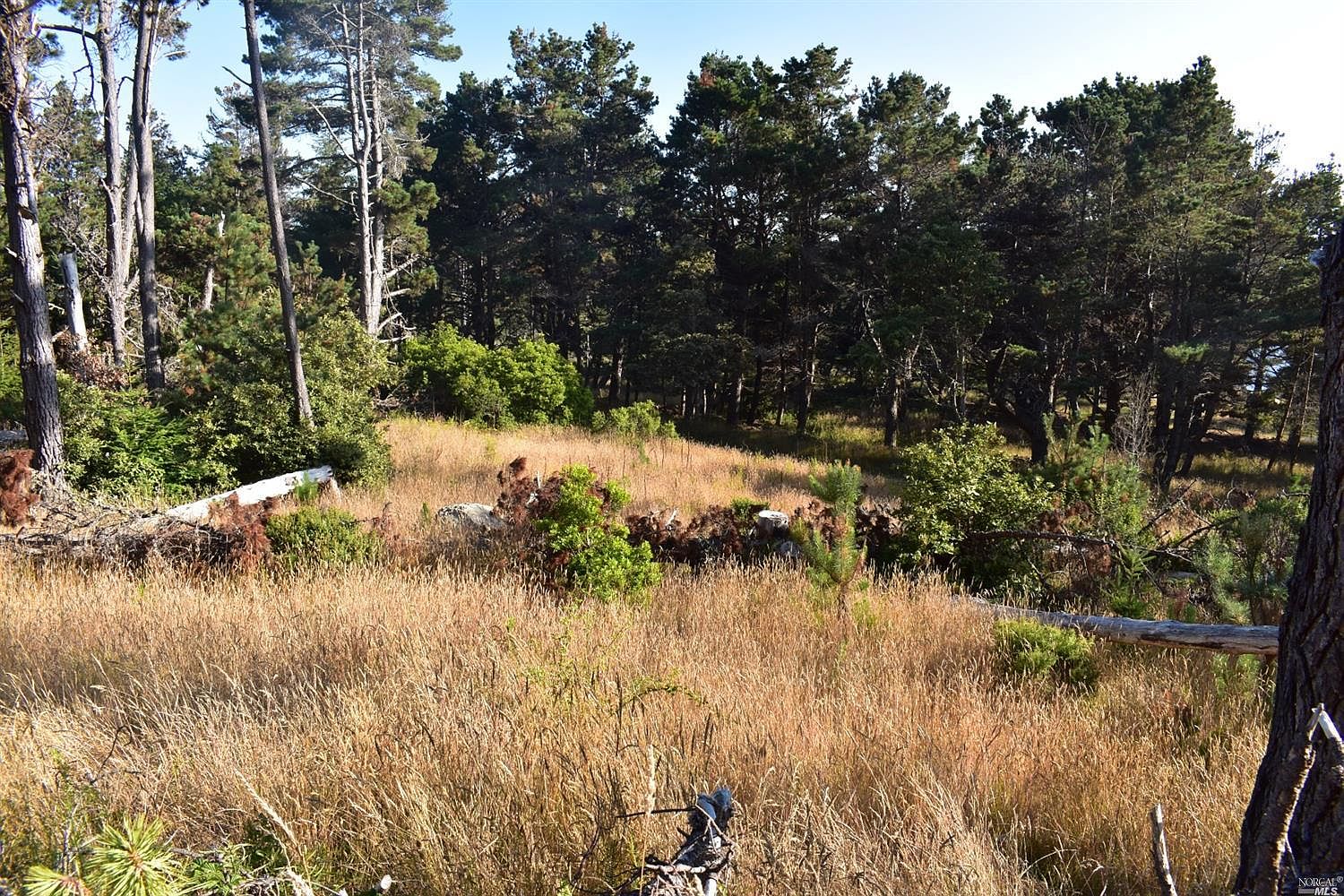 296 Lee Dr Jenner Ca Zillow