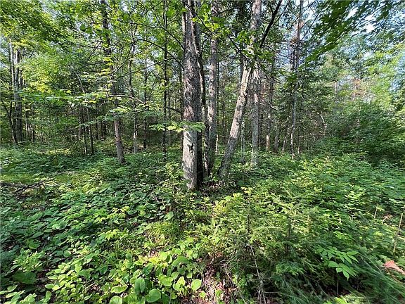 2nd image of W8804 Timber Trail