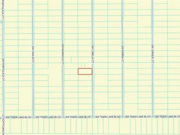 0 SW Lobelia Ct, Dunnellon, FL 34431