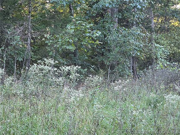 4th image of 5/ACRE Blue Bird Rd
