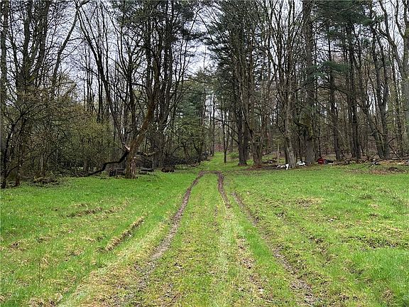 5th image of 357 Pineville Rd