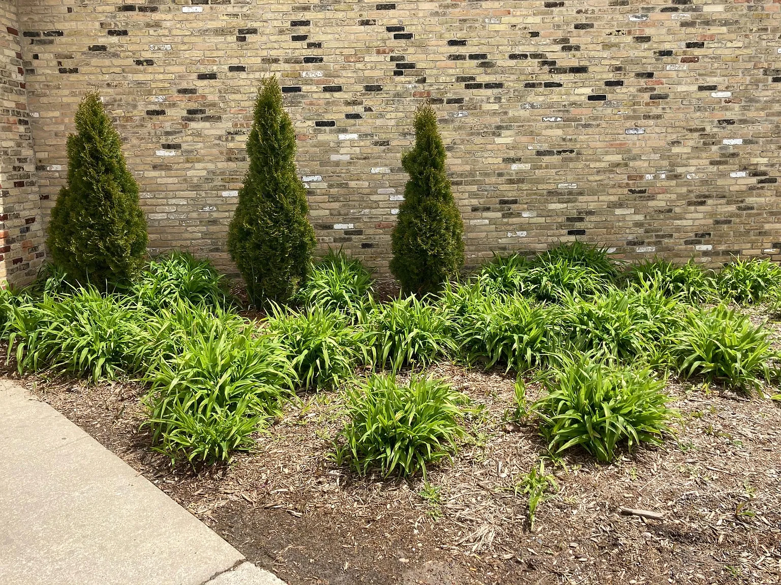 1 bed, 725 sqft, $925 — Photo 3