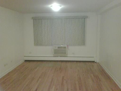 4th image of 900 W Fullerton Ave APT 3E