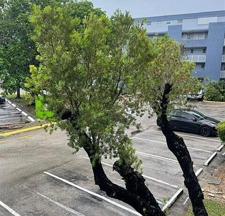 3rd image of 9351 Fontainebleau Blvd APT B228