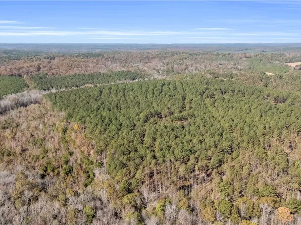 0 Liberty Bottom Rd, Vernon, AL 35592