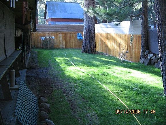 Backyard (behind house)