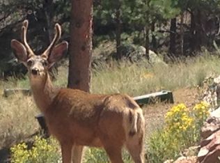 4573 W Us Highway 24, Florissant, CO 80816