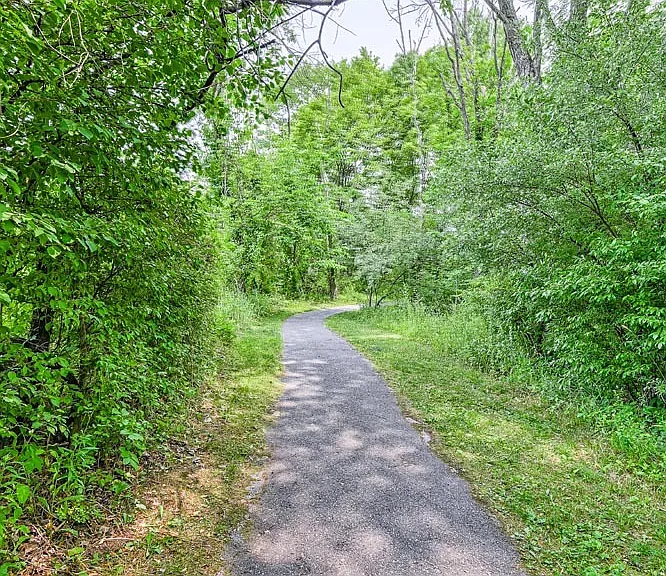 Kellinger Greene — Photo 24