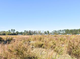 351 Camp Swamp Rd TRACT B, Loris, SC 29569