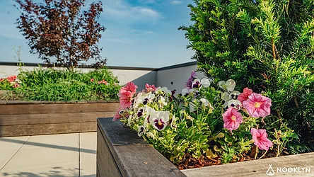 Rented by Nooklyn NYC LLC