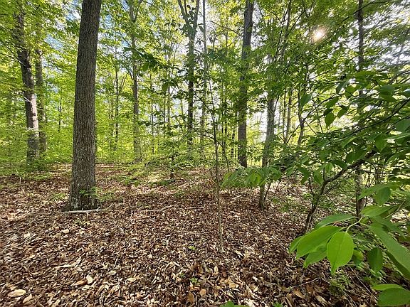 4th image of 15 Willow Creek Ln Lot 15