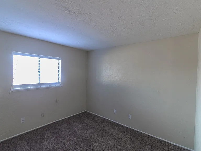 821 Stone Trail Dr — Photo 9