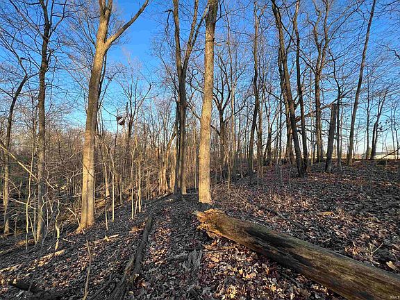 5th image of 10695 Crooked Stick Run