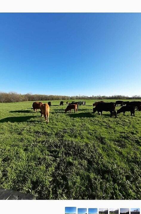 2nd image of Xxx Farm Rd 1022 Road