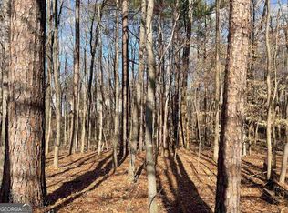 4631A Waters Edge Ln NW, Acworth, GA 30101