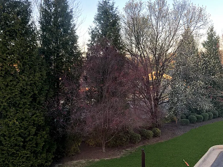 view from bedroom 2 left window