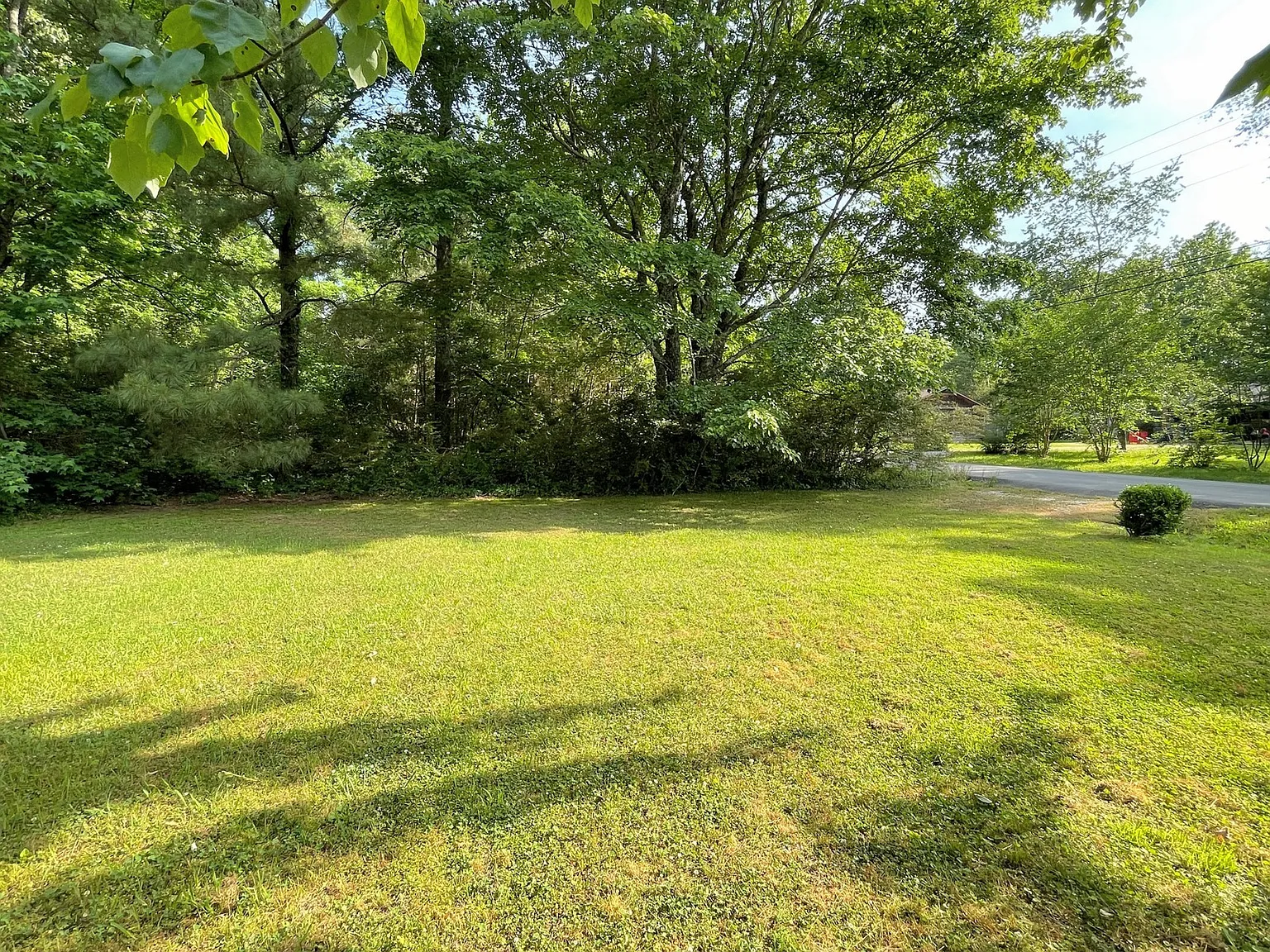 Guy Wilson Rd - 160 - 1 — Photo 3