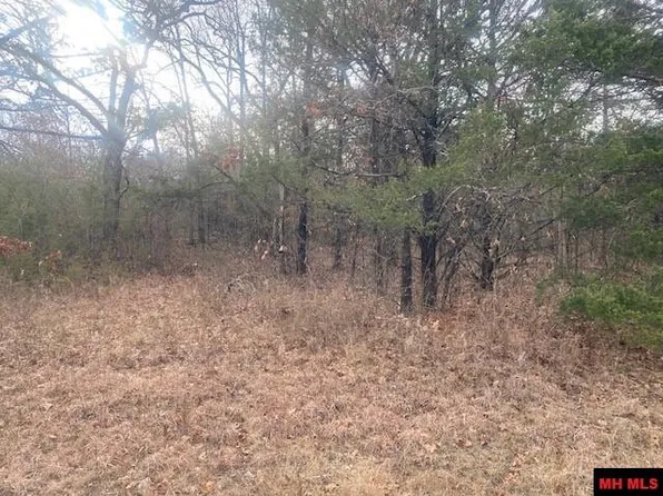 11 County Road 643, Mountain Home, AR 72653