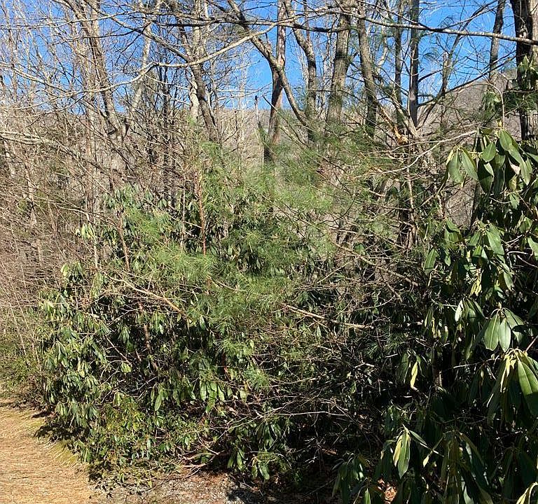 1st image of 4 Honeysuckle Ct