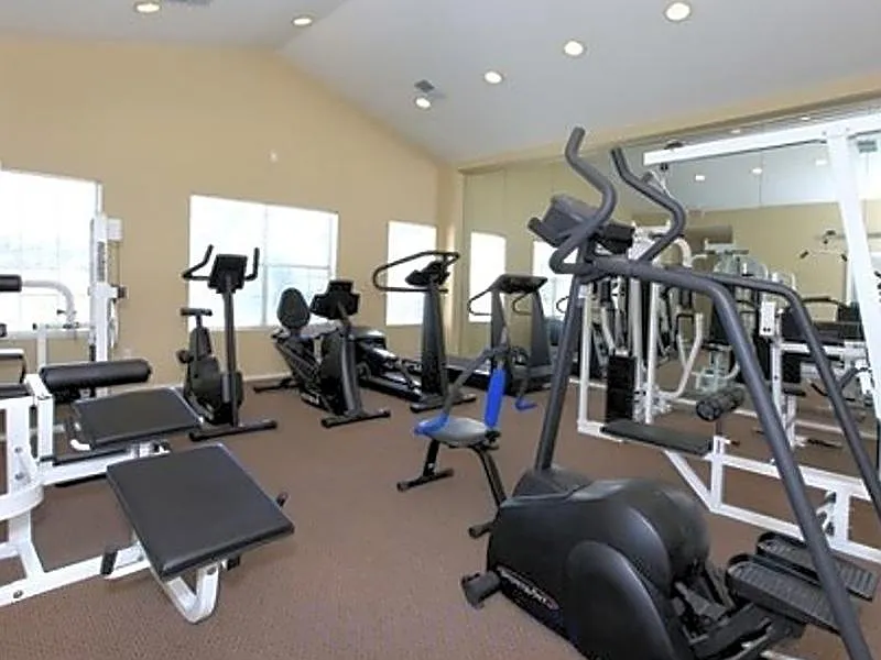 Las Lomas Apartments — Photo 4