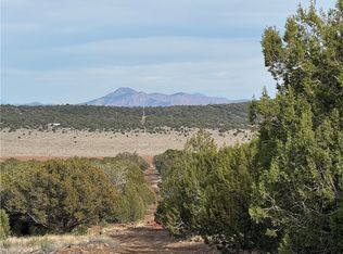 34745 W Running Shadow Rd Unit 3, Seligman, AZ 86337