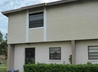 2009 Pine Chace Ct, Tampa, FL 33613