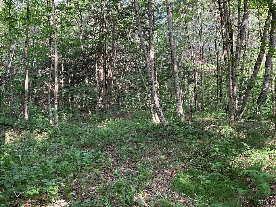 491 Bartley Rd 1, Williamstown, NY 13493 Zillow