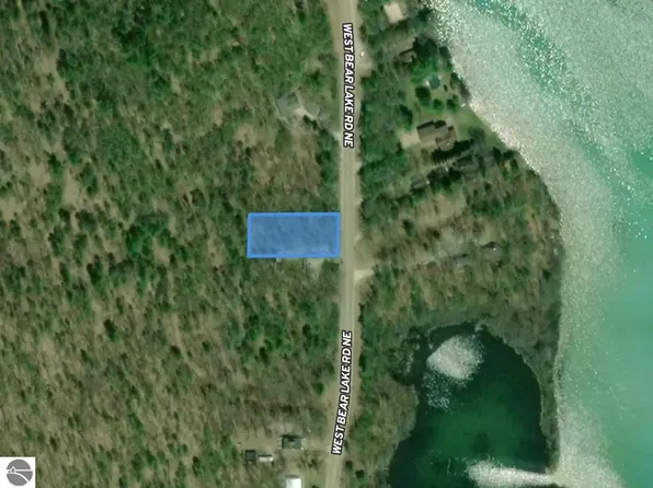 819 W Bear Lake Rd NE, Kalkaska, MI 49646