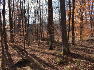 N13315 Harper Rd, Athelstane, WI, 54104