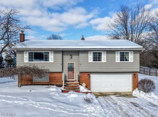 3667 Sleepy Hollow Rd, Brunswick, OH 44212