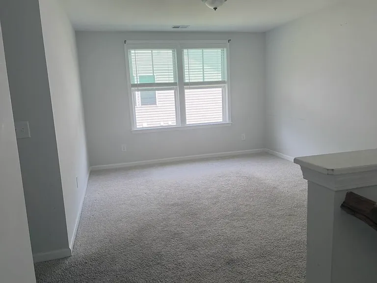 474 Green Fern Dr — Photo 9