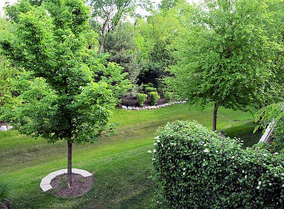 5th image of 16546 Garnet Ct